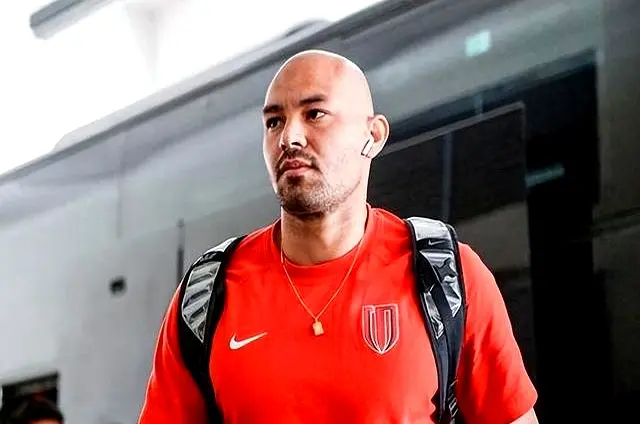 辉灿烂的 辉灿烂的