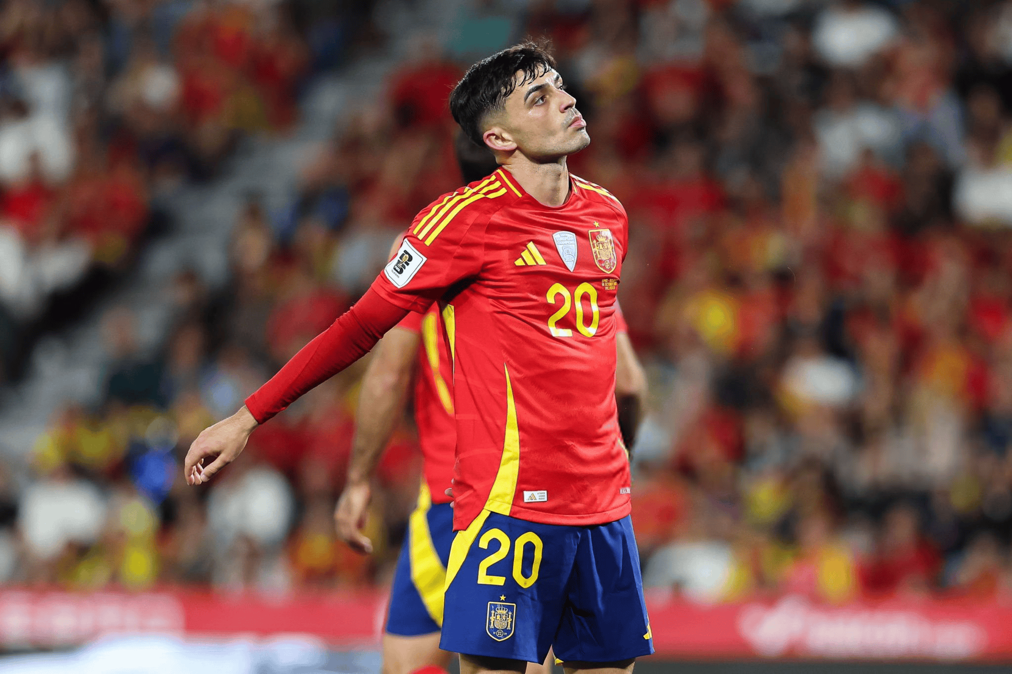 专业能力, cn 专业能力, cn